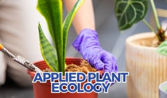 Applied Plant Ecology