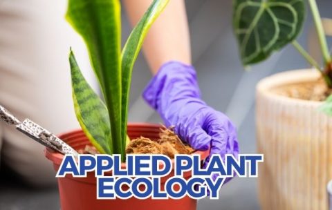 Applied Plant Ecology